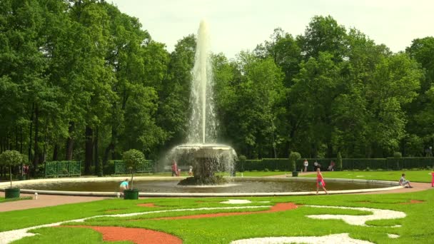 Fuente Bowl Peterhof Fuentes Petrodvorets Disparo Uhd — Vídeo de stock