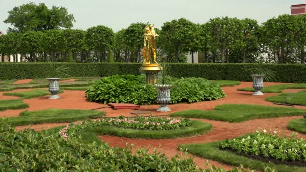 Brunnen Der Nähe Des Monplaisir Palastes Peterhof Brunnen Petrodworez Gedreht — Stockvideo