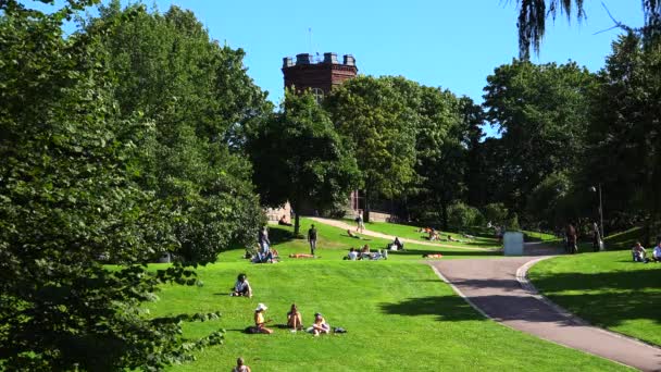 Helsinki Finland Summer 2015 Leisure Park Гельсінкі Люди Відпочивають Траві — стокове відео
