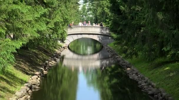 Ponte Attraverso Canale Pushkin Catherine Park Sarskoye Selo Architettura Monumenti — Video Stock