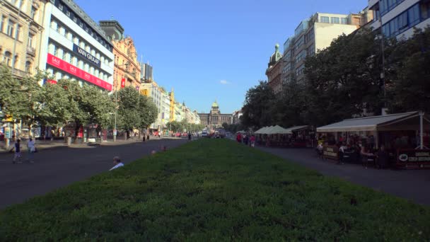 Praag Tsjechisch Republiek Summer 2015 Historisch Wenceslasplein Nationaal Museum Praag — Stockvideo