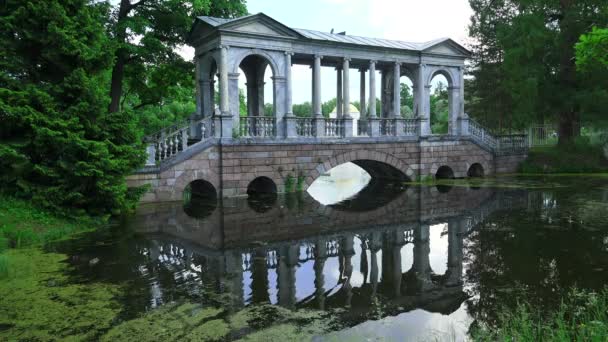 Jembatan Marmer Pushkin Taman Catherine Tsarskoye Selo Arsitektur Monumen Istana — Stok Video