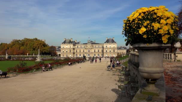 パリのルクセンブルク宮殿 フランスだ Uhdでのビデオ — ストック動画