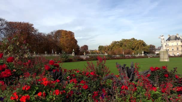Paris Teki Lüksemburg Bahçeleri Fransa Jardin Lüksemburg Video Uhd — Stok video