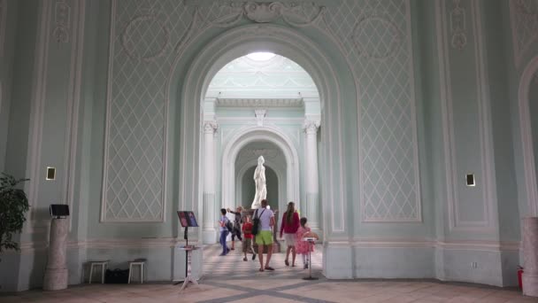 Grotte Pushkin Catherine Park Tsarskoje Selo Arkitekturen Monumentene Palasser Video – stockvideo