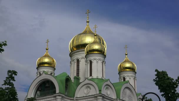 Szent Katalin Katedrális Puskin Vagyok Catherine Park Vagyok Sarskoye Selo — Stock videók