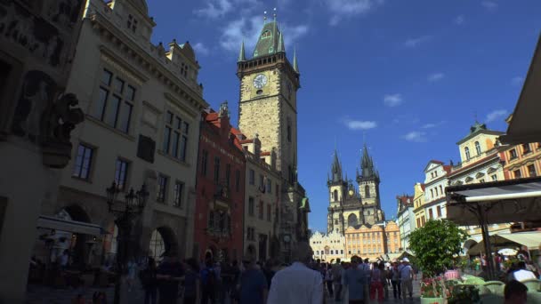 Praga Czeska Republika Lato 2015 Rynek Starego Miasta Pradze Czechy — Wideo stockowe