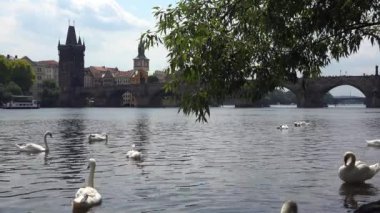 Prag 'daki Charles Köprüsü. Çek Cumhuriyeti. 4K 'da video, UHD