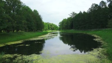 Göl, gölet. Puşkin. Catherine Park. Tsarskoye Selo. Mimari. Anıtlar. Saraylar. 4K 'da video, UHD