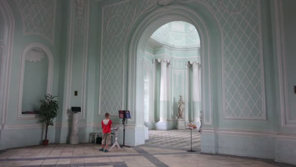 Grotto Pushkin Catherine Park Tsarskoye Selo Arquitectura Los Monumentos Palacios — Vídeos de Stock