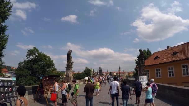 Praha Česká Republika Summer 2015 Karlův Most Praze Česká Republika — Stock video