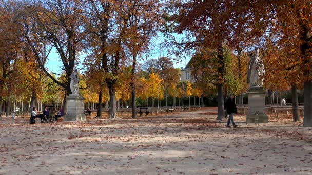 パリのルクセンブルク庭園 フランスだ リュクサンブール出身 Uhdでのビデオ — ストック動画