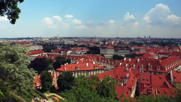 Praga Vecchia Praga Vista Dall Alto Architettura Vecchie Case Strade — Video Stock