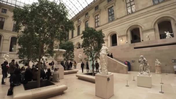 Statues Sculptures Musée Louvre Paris France Vidéo Uhd — Video