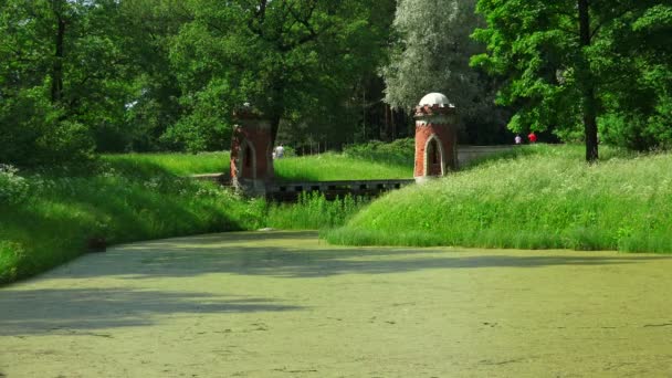 Cascada Roja Pushkin Catherine Park Tsarskoye Selo Arquitectura Los Monumentos — Vídeo de stock