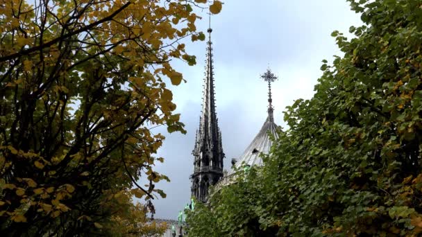 Catedral Paris Notre Dame França Uhd — Vídeo de Stock