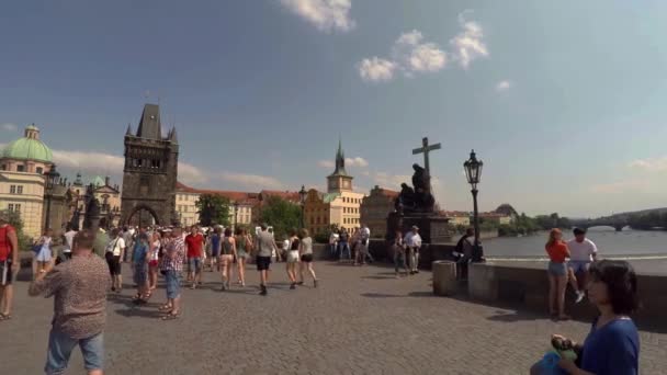 Prague Czech Republic Summer 2015 Charles Bridge Prague 공화국 Uhd — 비디오