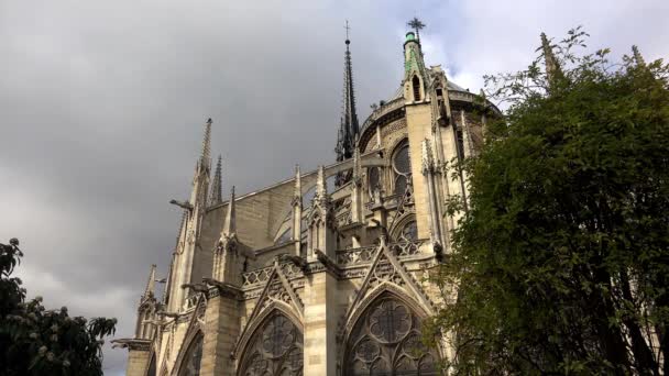 Catedral Paris Notre Dame França Uhd — Vídeo de Stock