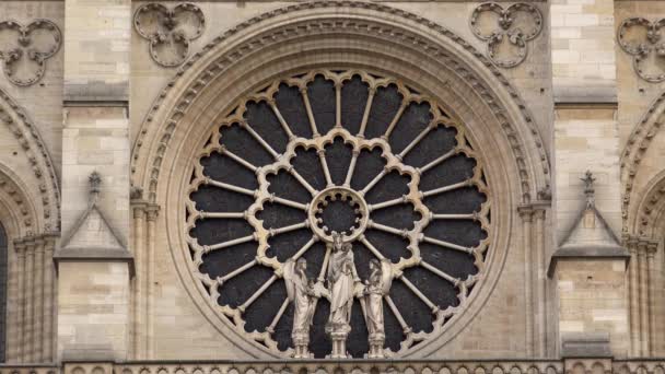 Katedra Notre Dame Paryżu Francji Uhd — Wideo stockowe