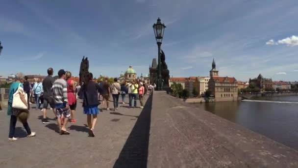 Prague República Checa Summer 2015 Charles Bridge Praga República Checa — Vídeo de Stock