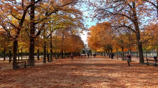 프랑스 파리의 룩셈부르크 프랑스 Jardin Luxembourg Uhd 비디오 — 비디오