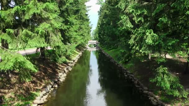 Puente Través Del Canal Pushkin Catherine Park Tsarskoye Selo Arquitectura — Vídeo de stock