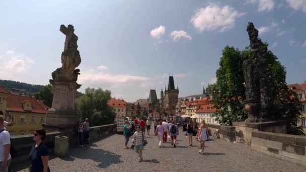 Prague République Tchèque Été 2015 Pont Charles Prague République Tchèque — Video