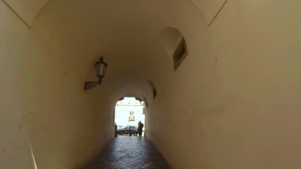 Prag Yaşlı Prag Mimarlık Eski Evler Sokaklar Mahalleler Çek Cumhuriyeti — Stok video