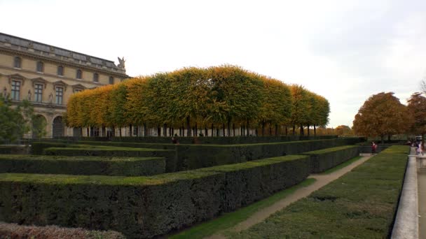 Paris Teki Tuileries Bahçeleri Fransa Video Uhd — Stok video