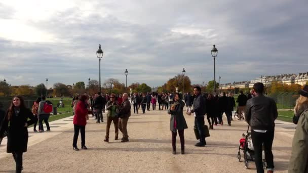 Jardín Las Tullerías París Francia Video Uhd — Vídeos de Stock