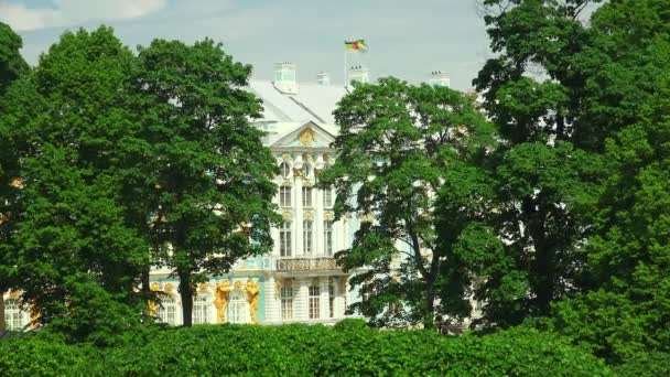 Catherine Palace Pushkin Catherine Park Tsarskoye Selo Arquitectura Los Monumentos — Vídeos de Stock