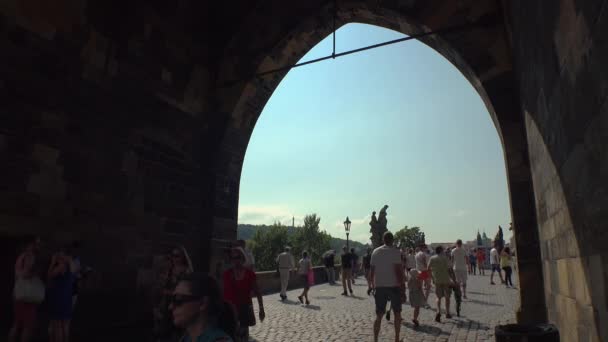 Praag Tsjechië Summer 2015 Karelsbrug Praag Tsjechië Video Uhd — Stockvideo