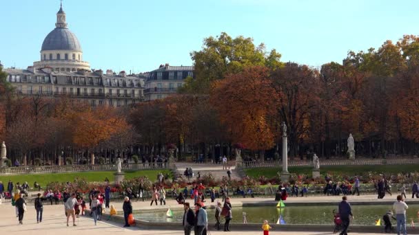 프랑스 파리의 룩셈부르크 프랑스 Jardin Luxembourg Uhd 비디오 — 비디오