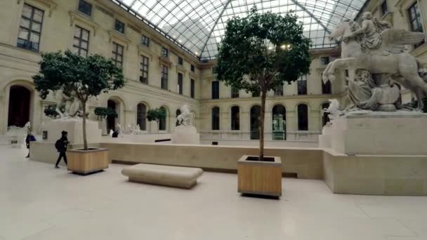 Sochy Sochy Pařížském Muzeu Louvre Francie Video Uhd — Stock video