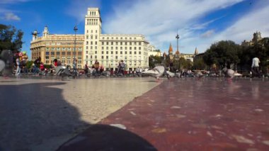 Barcelona 'nın merkezindeki meydanda güvercinler. İspanya. 4K 'da video, UHD