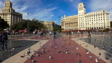 Barcelona 'nın merkezindeki meydanda güvercinler. İspanya. 4K 'da video, UHD