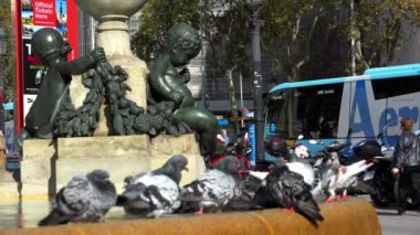 Barcelona 'nın merkezindeki meydanda güvercinler. İspanya. 4K 'da video, UHD