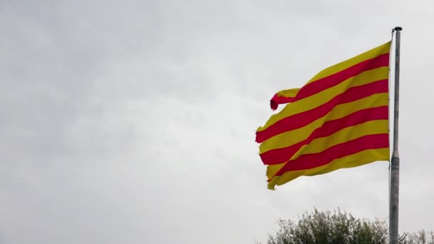 バルセロナのスペイン国旗 Uhdでのビデオ — ストック動画