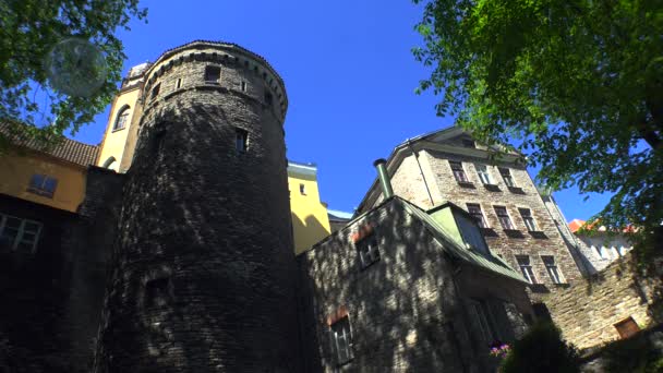 Oude Tallinn Architectuur Oude Huizen Straten Wijken Video Uhd — Stockvideo