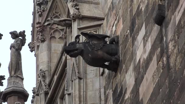 Gargoyle Gotische Kathedraal Barcelona Spanje Video Uhd — Stockvideo