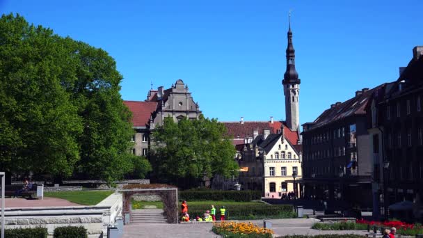 Gamla Tallinn Arkitektur Gamla Hus Gator Och Kvarter Video Uhd — Stockvideo