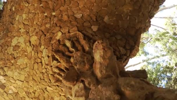 Park Guell Gaudi Barcellona Spagna Video Uhd — Video Stock