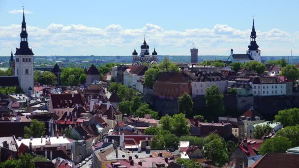 Gamla Tallinn Högst Upp Tak Hus Estland Video Uhd — Stockvideo