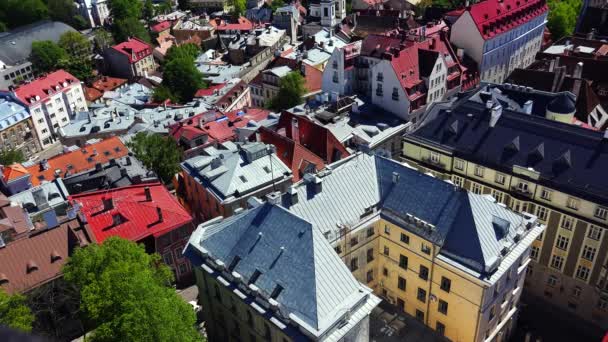 Gamla Tallinn Högst Upp Tak Hus Estland Video Uhd — Stockvideo