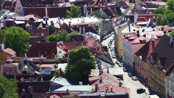 Das Alte Tallinn Ansicht Von Oben Hausdächer Estland Video Uhd — Stockvideo