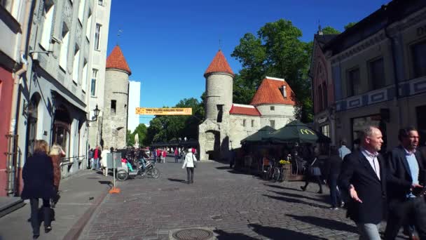 Yaşlı Tallinn Mimarlık Eski Evler Sokaklar Mahalleler Video Uhd — Stok video