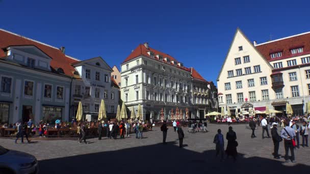 Tallinn Deki Belediye Binası Meydanında Estonya Video Uhd — Stok video