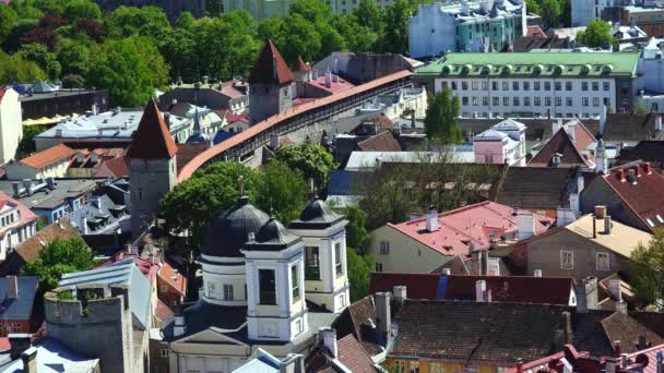 Vecchio Tallinn Vista Dall Alto Tetti Case Estonia Video Uhd — Video Stock
