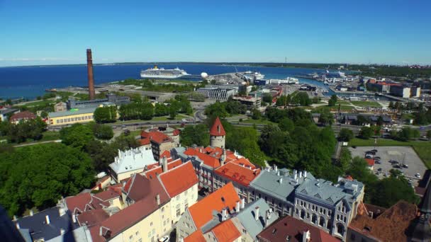 Vecchio Tallinn Vista Dall Alto Tetti Case Estonia Video Uhd — Video Stock