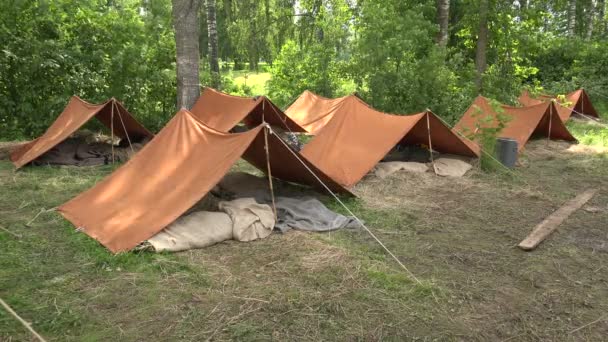 Campamento Militar Primera Guerra Mundial 1914 1918 Video Uhd — Vídeo de stock